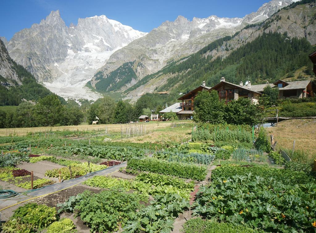 Hotel Aiguille Noire Courmayeur Exterior photo